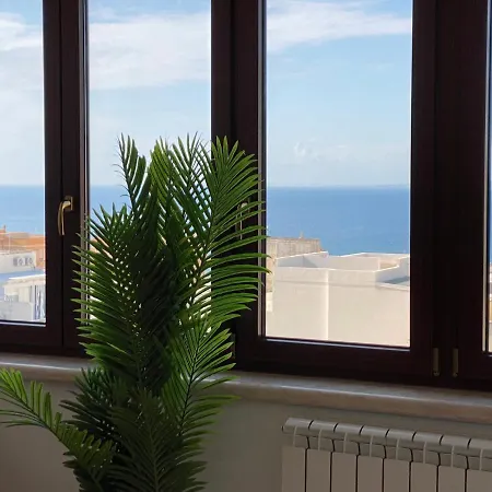 Tropical * Галлиполи